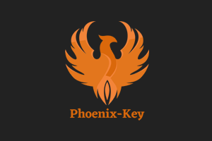 Phoenix Flash Tool License 12-Months