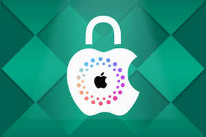 Apple Carrier + Blacklist + Basic + Replacement + Part + FMI Status (IMEI/SN)
