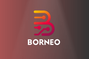 Borneo Schematics 2 Users (12 Months)