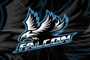 Falcon Multi Tool credit Refill ( Existing user )