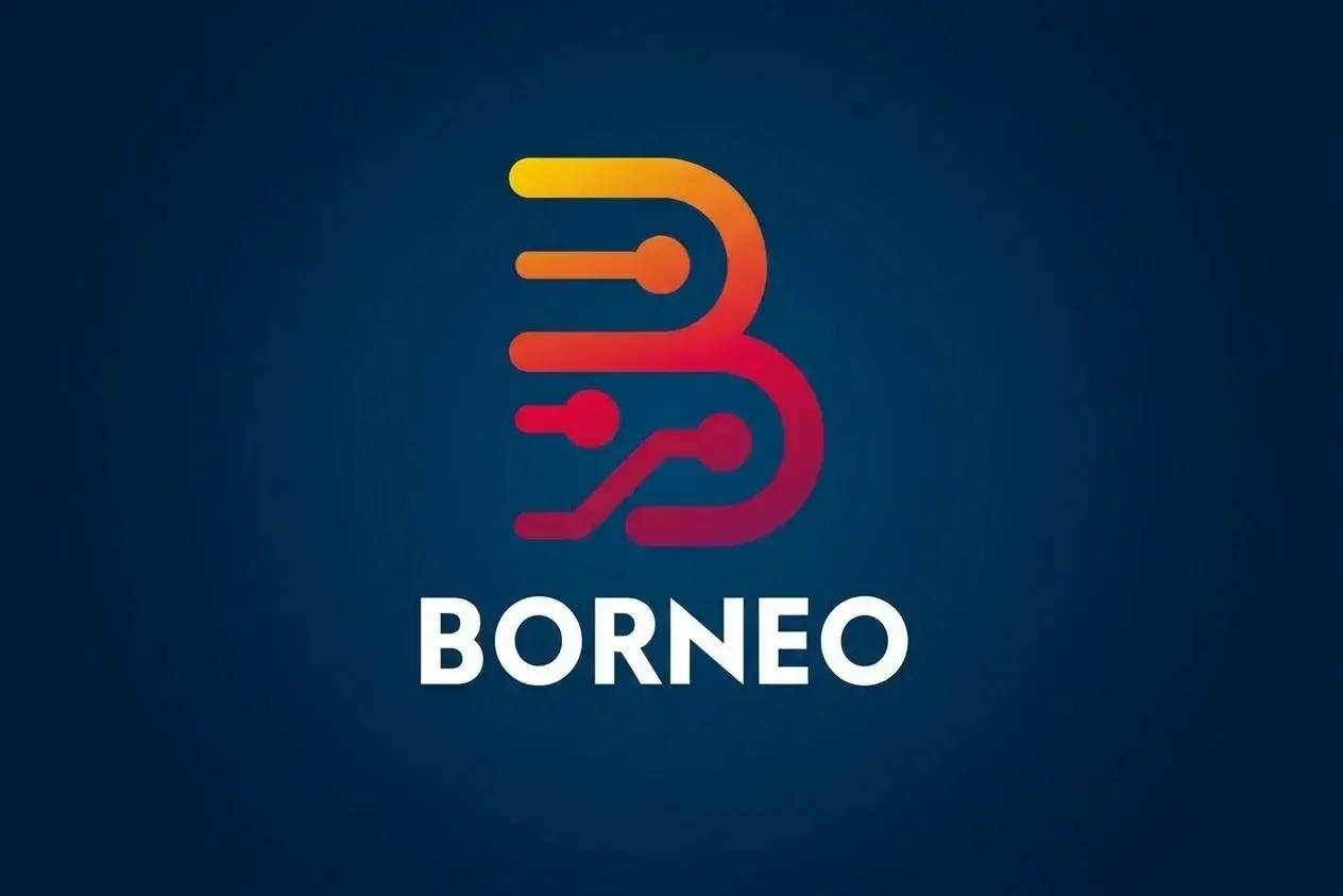 Borneo Schematics 1 User (3 Months)